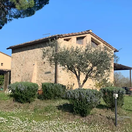 Capannino * سيينا